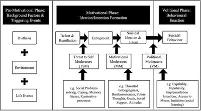A nomogram of suicidal ideation among men who have sex with men in China: Based on the <mark class="highlighted">integrated motivational-volitional model</mark> of suicidal behavior